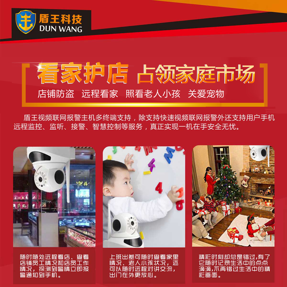 盾王視頻聯(lián)網(wǎng)報(bào)警